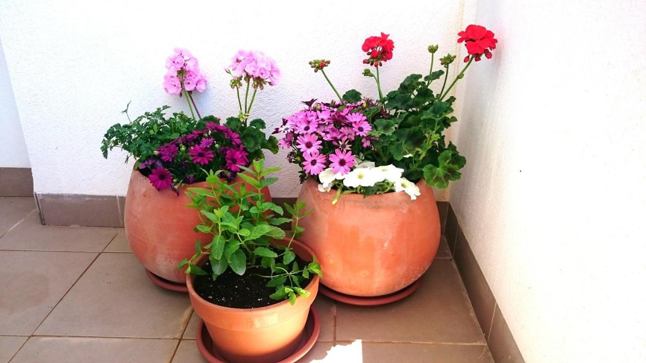 Apartamento De Dos Dormitorios Junto A Mojacar Playa 가루차 외부 사진